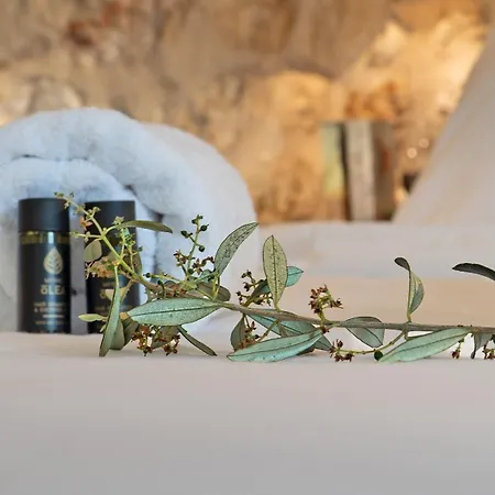Melias Olive Retreat