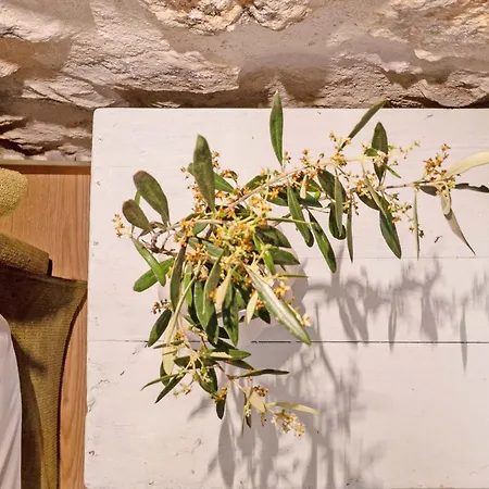 Melias Olive Retreat